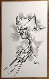 Eric Powell - Wolverine - Planche originale