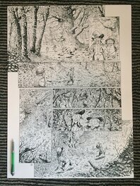 François Gomès - Brocéliande le miroir aux fées p03 - Planche originale