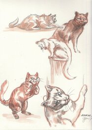 Gwendal Lemercier - Etudes de chats - Œuvre originale