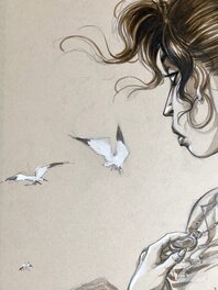 Mouettes Mouettes