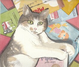 Sylvain Savoia - Chat aux albums - Illustration originale