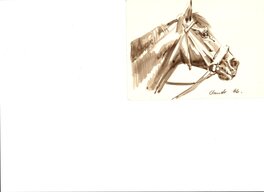 Derib - Le cheval - Planche originale