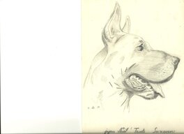 Derib - Le chien de Tata - Illustration originale