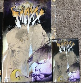 The Maxx Maxximized Issue 13 Size reference