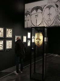 Musée des confluences 2017