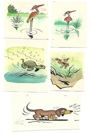 Raymond Macherot - Etudes animalières : 5 dessins à l'encre de Chine et aquarelle - Œuvre originale