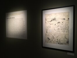 Expo Angoulême 2019 - Manara Itinéraire d'un Maestro Expo Angoulême 2019 - Manara Itinéraire d'un Maestro