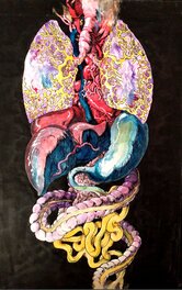 Mike Dubisch - Anatomie organes curiosité - Illustration originale
