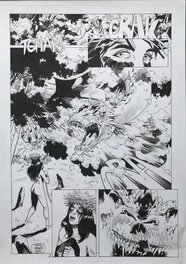 Planche 2 Planche 2