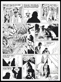 Planche originale - 1993 - La maison dans l'île (T8): Planche 28