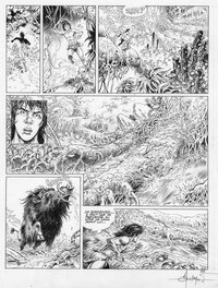 Planche originale - Sylve - T01 - Le peuple des racines - Planche 27