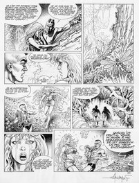 Mohamed Aouamri - Sylve - T02 - planche 05 - Comic Strip