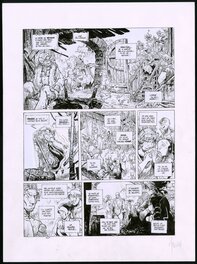 Vincent Mallié - La quête de l'Oiseau du temps. Tome 4. Planche 28 - Planche originale