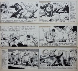 Bob Lubbers - Tarzan - Comic Strip