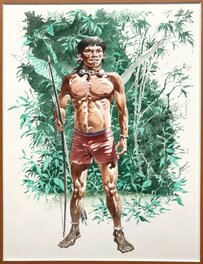 Hermann - South American native - Illustration originale