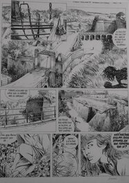 Tendre Violette - Comic Strip