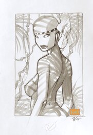 Olivier Vatine - Mi Nuee - Original Illustration