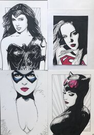 Gary Parkins - Les Héroïnes de DC - Wonder Woman, Supergirl, Black Cat, Catwoman - Illustration originale