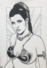 Gary Parkins - Star Wars - Princesse Leia - Original Illustration
