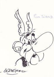 Un Superbe Astérix rien que pour moi.......