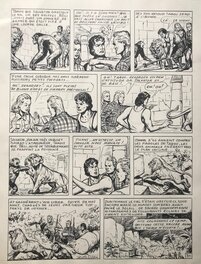Planche 31 Planche 31