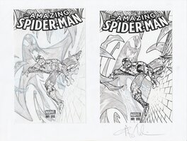 Angel Medina - Spiderman - Original art