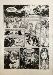 Gwendal Lemercier - Les arcanes d'Alya tome 1 pl 8 - Comic Strip