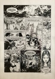 Gwendal Lemercier - Les arcanes d'Alya tome 1 pl 8 - Planche originale