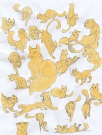 Recherches s'illustrations pour l'album Le Dernier Refuge