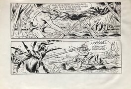Maison - Tabor contre des mygales géantes pl 13b - Comic Strip