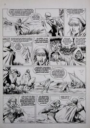 Jean-Yves Mitton - Vae Victis tome 11, pl 24 - Comic Strip