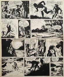 Tanguy et Laverdure - Comic Strip