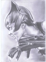 Alan Borges - Catwoman par Borges - Illustration originale