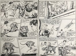 Augusto Pedrazza - Akim pl 19 & 20 - Comic Strip