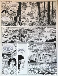 François Plisson - Taanoki tome 2 le fils du jaguar pl 21 - Planche originale