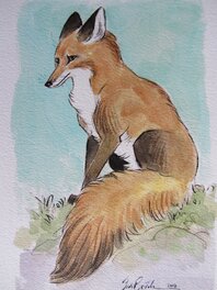 Federico Bertolucci - Le renard - Illustration originale