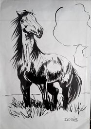 Derib - Mustang - Illustration originale