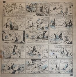 Rodaly - Terre Robinson - Comic Strip