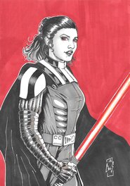 Christophe Le Galliot - Dark Leia - Original Illustration