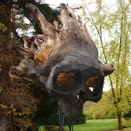 Crane Sculpté dans une Racine de Chêne après la Tempête de 99
