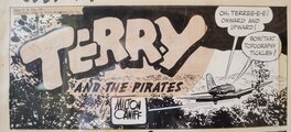 Terry Terry