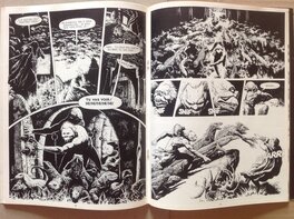 Pages 34 et 35 du Metal Hurlant 2 pour Les Armées du Conquérant en Avril 1975 .