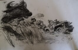 René Follet - Buffle safari - Original Illustration