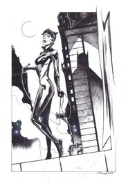 Jonas Scharf - Catwoman par Scharf - Illustration originale
