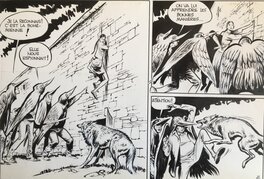 Strip 2 Strip 2