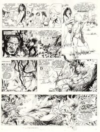 Paolo Ongaro - Ongaro - Rahan - Comic Strip