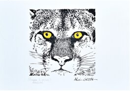 Alain Goutal - Cougar - Illustration originale