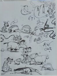 Marc Wasterlain - Model sheet pour un projet de dessin animé du marsupilami - années '80 - Œuvre originale