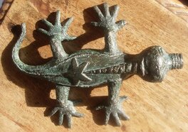 Le lézard, vue de dessus Le lézard, vue de dessus