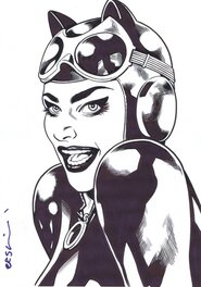 Gary Erskine - Catwoman par Erskine - Illustration originale